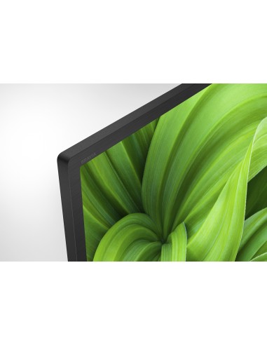 Sony BRAVIA KD-32W800 - 32 pollici – HD Ready - High Dynamic Range (HDR)