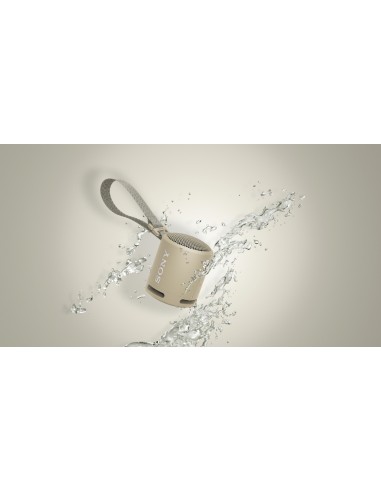 Sony SRS-XB13 - Speaker Bluetooth® portatile, resistente con EXTRA BASS™, Tortora