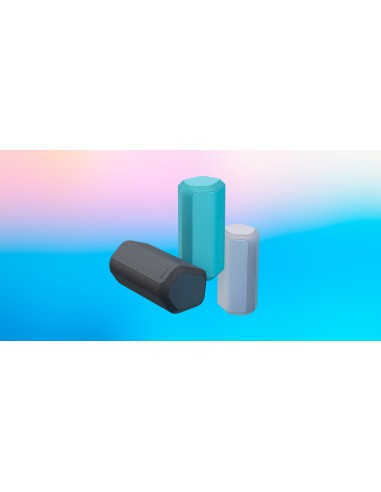 Sony SRS-XE300 - Speaker portatile Bluetooth wireless con ampio campo sonoro - impermeabile, antiurto, durata della batteria