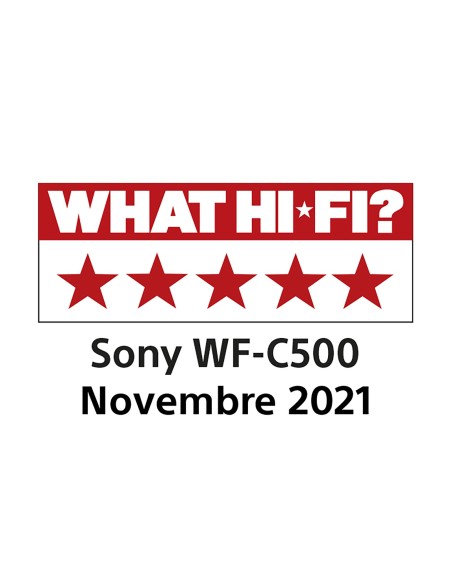Sony WF-C500 - Auricolari True Wireless, Fino a 20 ore di durata della batteria con custodia di ricarica, Compatibile con