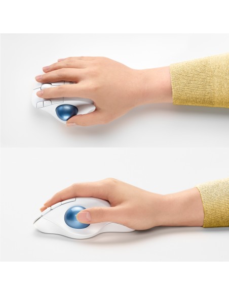 Logitech Ergo M575 mouse Mano destra RF senza fili + Bluetooth Trackball 2000 DPI