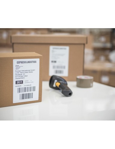 Brother QL-1100 stampante per etichette (CD) Termica diretta 300 x 300 DPI Cablato DK