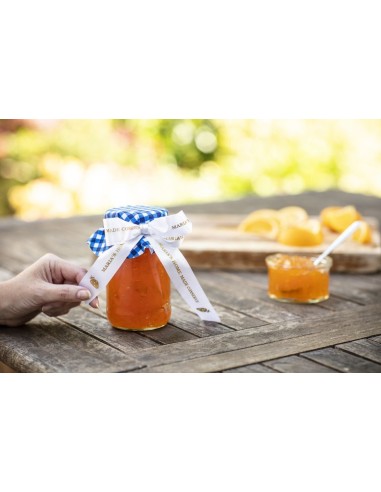 Brother TZE-R254 nastro per stampante Oro