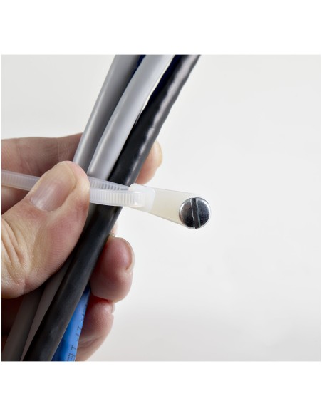 StarTech.com Fascette fermacavo da 10 cm con foro di montaggio - 2 mm di larghezza, 24 mm di diametro del fascio, 8 kg di