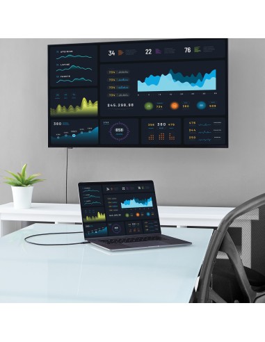 StarTech.com Cavo Convertitore Adattatore USB-C a DVI da 2m - 1920x1200