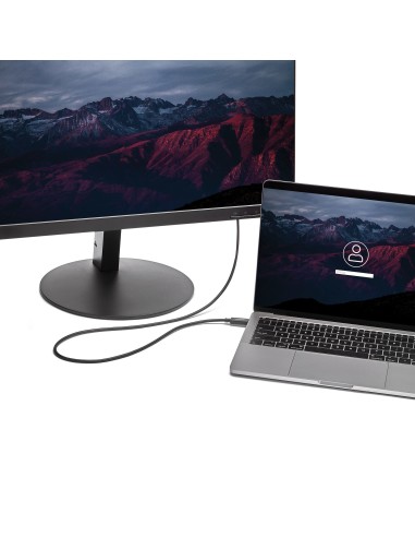 StarTech.com Cavo Adattatore Convertitore USB-C a VGA da 2m - 1920x1200