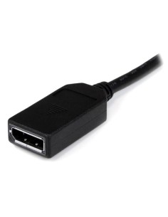 StarTech.com Cavo Adattatore LFH59   DMS59 a doppio DisplayPort - Convertitore LFH59 a due uscite DP da 20cm 2