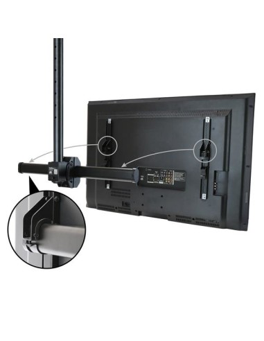 StarTech.com Supporto da Soffitto per TV a schermo piatto - VESA - Multidirezionale