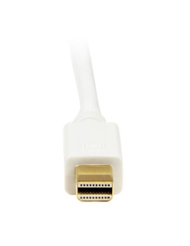 StarTech.com Cavo convertitore adattatore Mini DisplayPort a DVI da 1,8 m – Mini DP a DVI 1920x1200 - Bianco