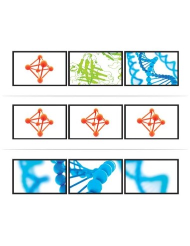 StarTech.com Adattatore multi monitor a 3 porte - Hub DisplayPort 1.2 MST a doppio 4K 30Hz e 1x 1080p - Splitter video per