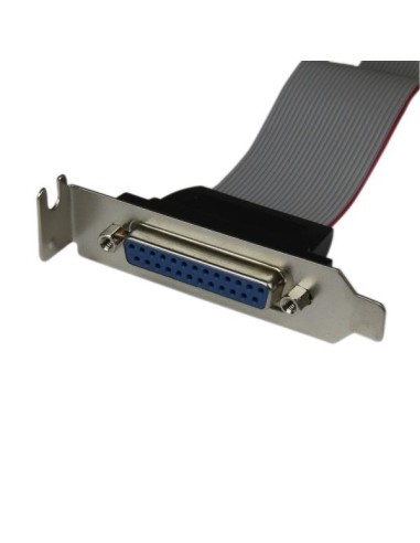 StarTech.com Adattatore cavo collettore porta parallela 40 cm basso profilo con staffa – DB25 (F) a IDC26