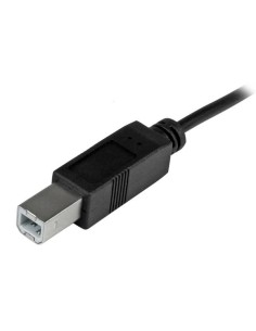 StarTech.com Cavo USB-C a USB-B da 2m - M M - Cavo USB 2.0 Tipo C a USB-B 2