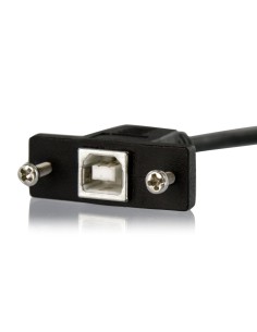 StarTech.com Cavo pannello USB 30 cm B a B - F M 2