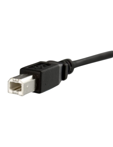 StarTech.com Cavo pannello USB 30 cm B a B - F M