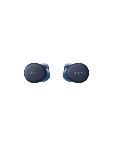 Sony WF-XB700 Auricolare True Wireless Stereo (TWS) In-ear Musica e Chiamate Bluetooth Blu