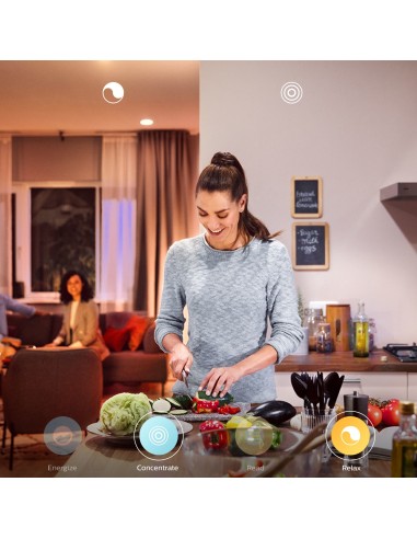 Philips Hue White ambiance Lampada da tavolo Wellner