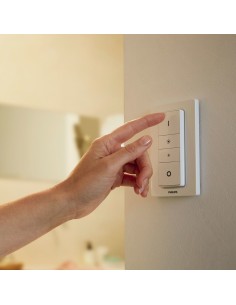 Philips Hue White ambiance Faretto doppio Runner 2