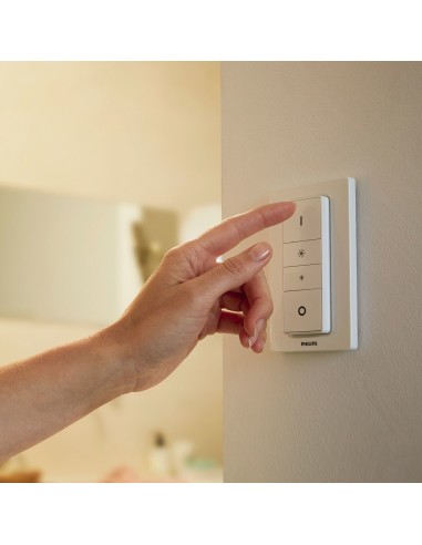 Philips Hue White ambiance Faretto doppio Runner