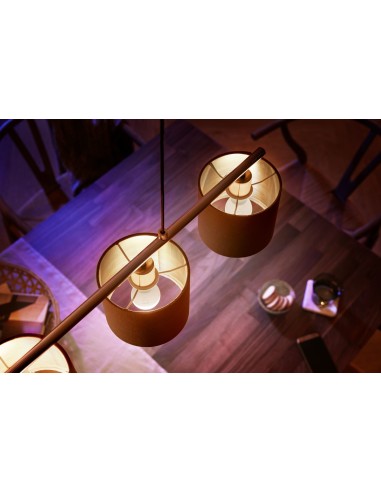Philips Hue White Lampadina Smart E14 40 W