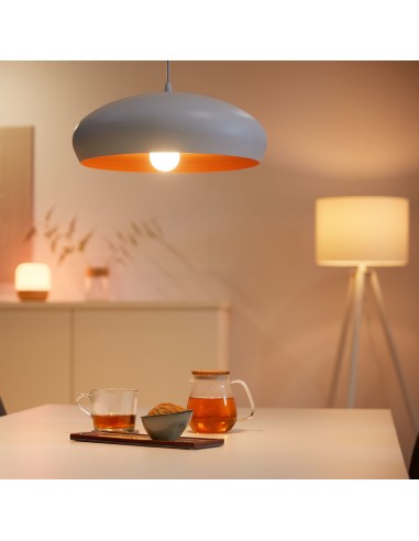 WiZ Lampadina Smart Dimmerabile Luce Bianca da Calda a Fredda Attacco E27 100W Goccia