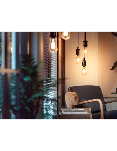 Philips Edison con filamento ST72 E27 (confezione da 1)