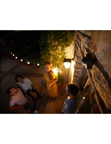 Philips Hue Sensore di Movimento per Esterni