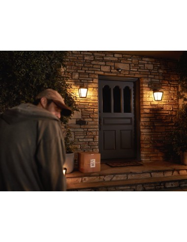 Philips Hue Sensore di Movimento per Esterni