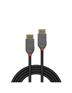 Lindy 36480 cavo DisplayPort 0,5 m Nero 2