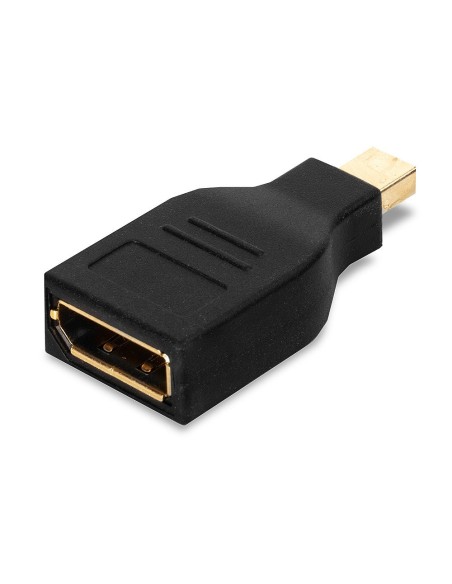 Lindy 41077 adattatore per inversione del genere dei cavi Mini Display Port Display Port Nero