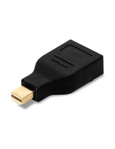 Lindy 41077 adattatore per inversione del genere dei cavi Mini Display Port Display Port Nero 2
