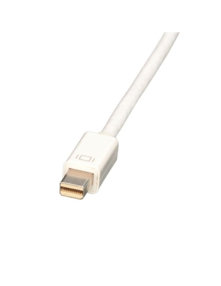 Lindy 41729 cavo e adattatore video 0,15 m HDMI DisplayPort Bianco