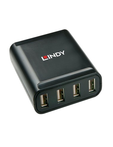 Lindy 42679 hub di interfaccia USB 2.0 Nero