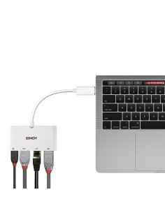 Lindy 43239 adattatore grafico USB Bianco 2