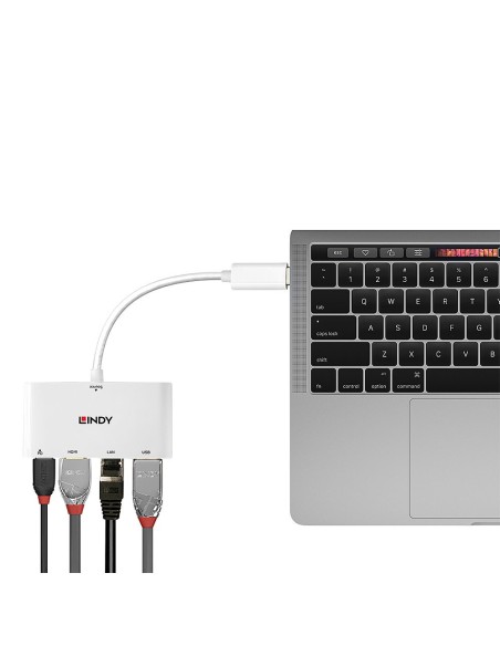 Lindy 43239 adattatore grafico USB Bianco