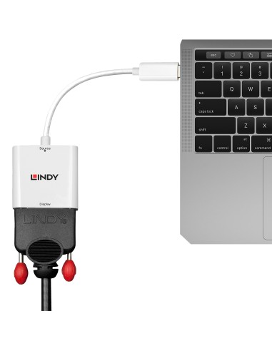 Lindy 43243 adattatore grafico USB 1920 x 1200 Pixel Bianco