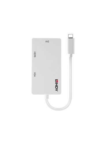 Lindy 43273 adattatore grafico USB 3840 x 2160 Pixel Bianco