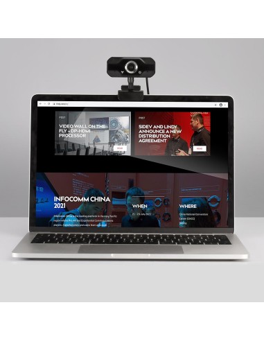 Lindy 43300 webcam 1920 x 1080 Pixel USB 2.0 Nero