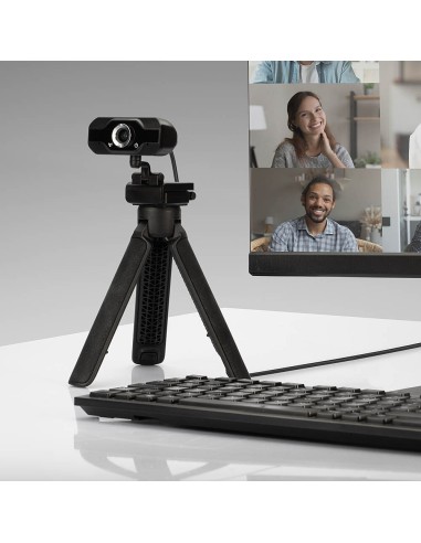 Lindy 43300 webcam 1920 x 1080 Pixel USB 2.0 Nero