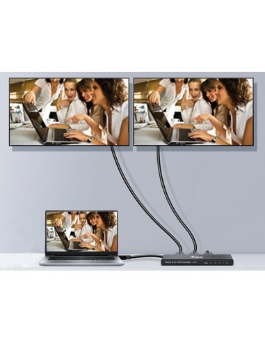 Equip 332716 HDMI 2x HDMI