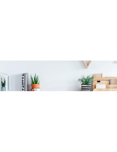 AOC B2 24B2XDM Monitor PC 60,5 cm (23.8") 1920 x 1080 Pixel Full HD LCD Nero