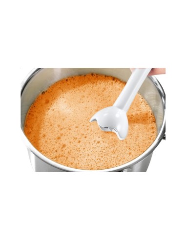 Bosch MSM6B150 frullatore Frullatore ad immersione 300 W Bianco