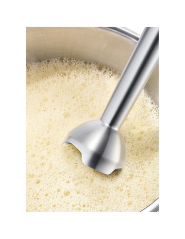 Bosch MSM881X2 frullatore Frullatore ad immersione 800 W Nero, Acciaio inossidabile