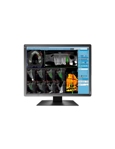 EIZO RadiForce MX216-SB LED display 53,3 cm (21") 1200 x 1600 Pixel Nero