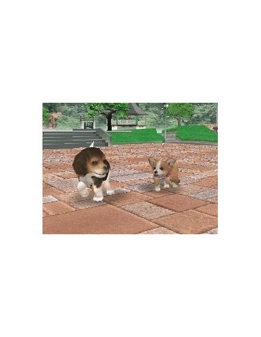 Nintendo Nintendogs - Chihuahua & Friends Nintendo DS