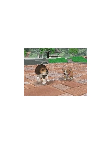 Nintendo Nintendogs - Chihuahua & Friends Nintendo DS