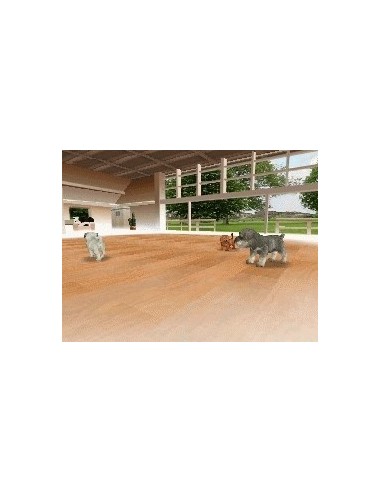 Nintendo Nintendogs - Chihuahua & Friends Nintendo DS