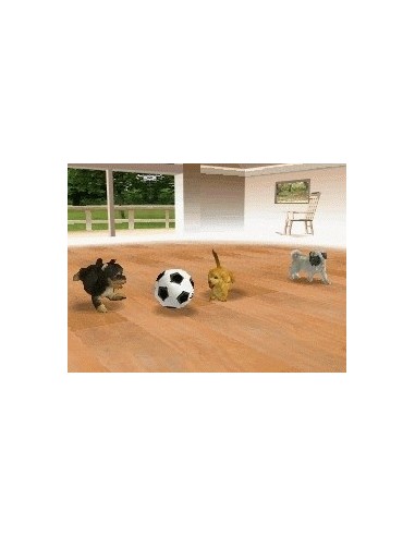 Nintendo Nintendogs - Chihuahua & Friends Nintendo DS