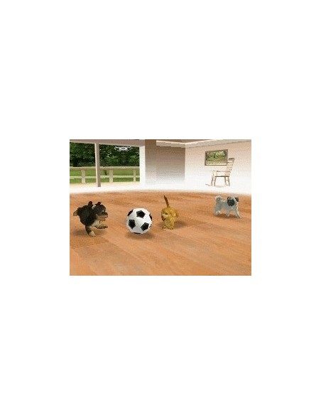 Nintendo Nintendogs - Chihuahua & Friends Nintendo DS