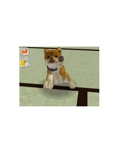 Nintendo Nintendogs - Chihuahua & Friends Nintendo DS