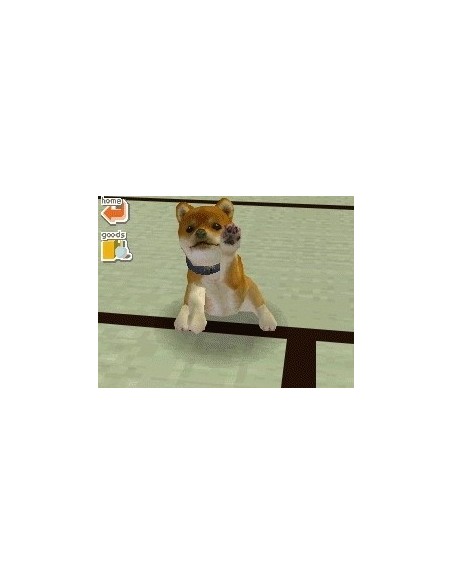 Nintendo Nintendogs - Chihuahua & Friends Nintendo DS